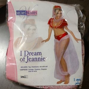 I Dream of Jeannie costume